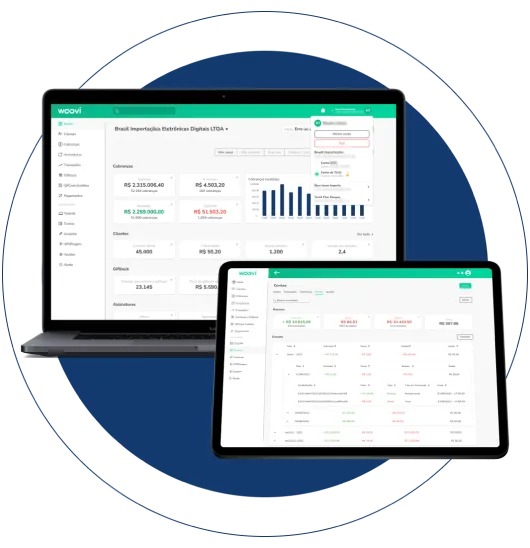 Imagem da plataforma woovi mostrando gráficos e histórico de transações